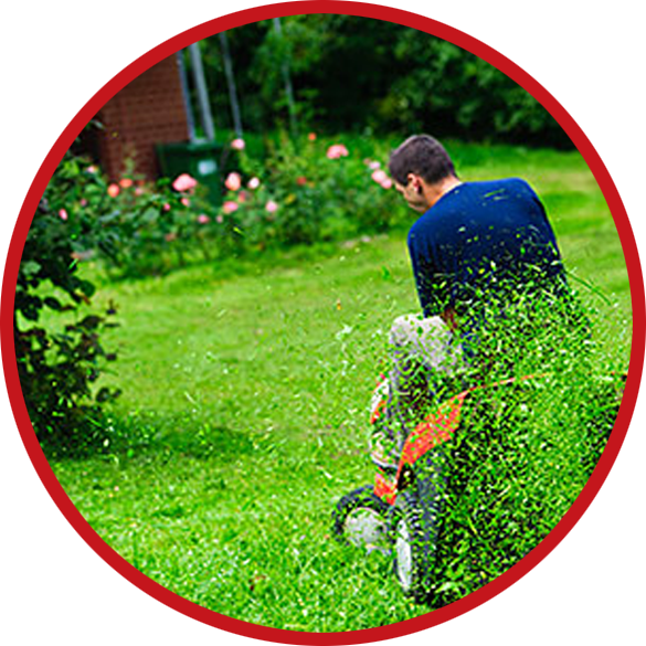 maryland lawn mowing pros