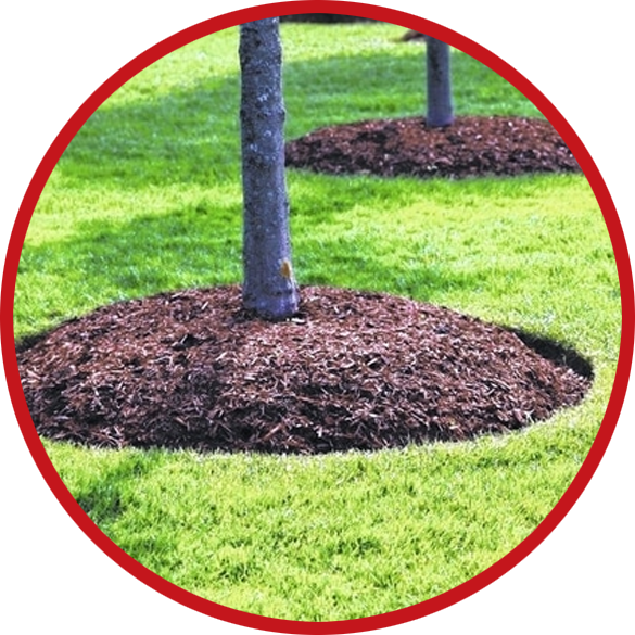 mulching services