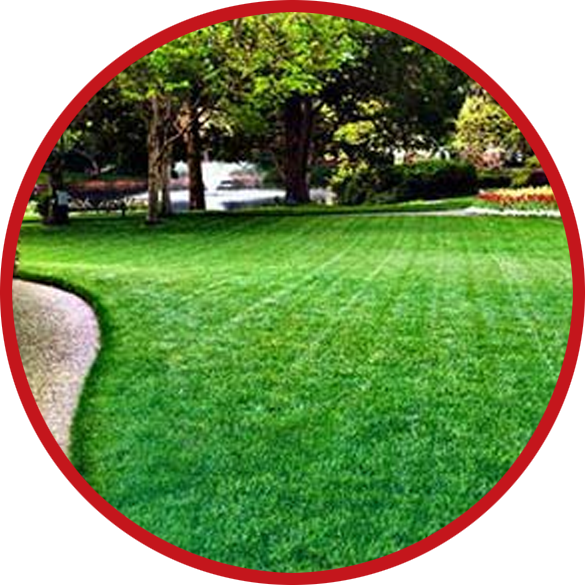 lawn care services