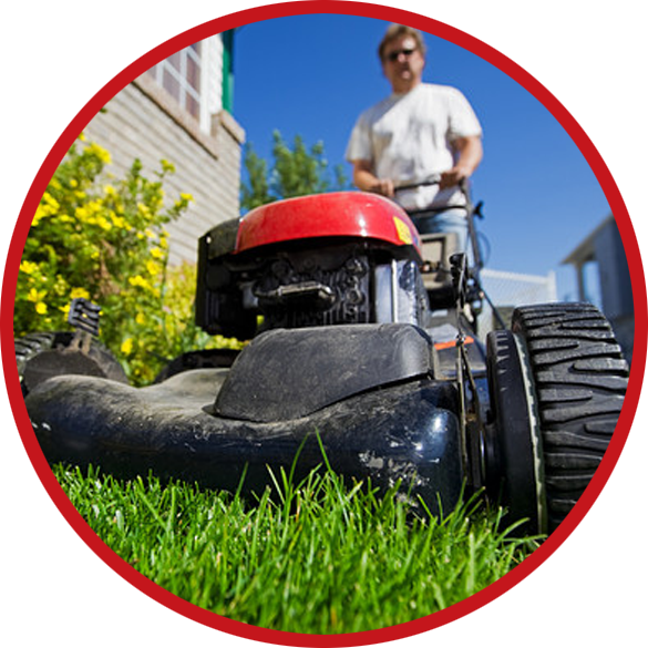 $45 MONTHLY LAWN SERVICE — WBM Maintenance - A full service lawn company